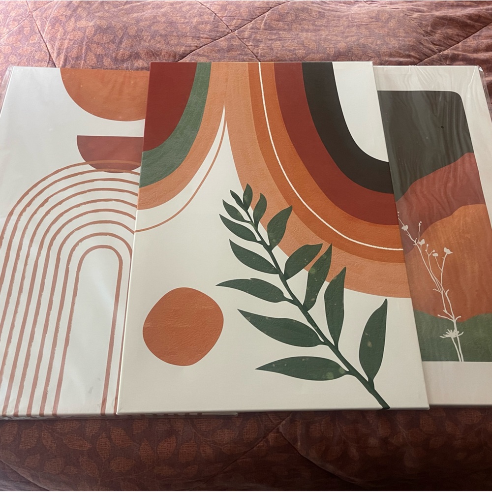 3 Boho abstract canvas prints, with frames.